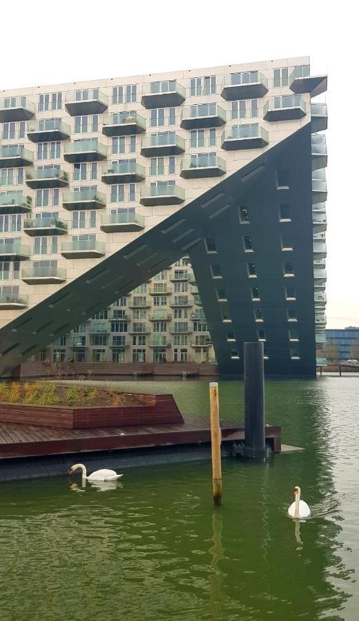 Botel Euphrate Houseboat *